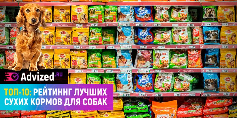 Рейтинг сухих кормов для собак